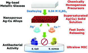 Graphical abstract: Design and preparation of nanoporous Ag–Cu alloys by dealloying Mg–(Ag,Cu)–Y metallic glasses for antibacterial applications