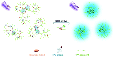 Graphical abstract: Tetraphenylethene decorated with disulfide-functionalized hyperbranched poly(amido amine)s as metal/organic solvent-free turn-on AIE probes for biothiol determination