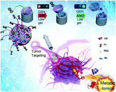 Graphical abstract: A modular theranostic platform for tumor therapy and its metabolic studies