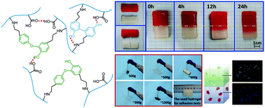 Graphical abstract: A dynamic-coupling-reaction-based autonomous self-healing hydrogel with ultra-high stretching and adhesion properties