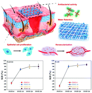 Graphical abstract: Remodeling of inherent antimicrobial nanofiber dressings with melamine-modified fibroin into neoskin
