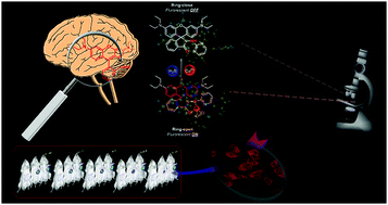 Graphical abstract: An efficient biosensor for monitoring Alzheimer's disease risk factors: modulation and disaggregation of the Aβ aggregation process