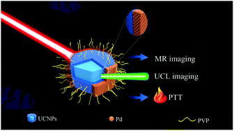 Graphical abstract: Heterogeneous growth of palladium nanocrystals on upconversion nanoparticles for multimodal imaging and photothermal therapy