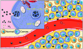 Graphical abstract: Acid-responsive H2-releasing Fe nanoparticles for safe and effective cancer therapy