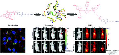 Graphical abstract: A selenium-containing selective histone deacetylase 6 inhibitor for targeted in vivo breast tumor imaging and therapy