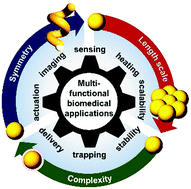 Graphical abstract: Recent advances in gold nanoparticles for biomedical applications: from hybrid structures to multi-functionality