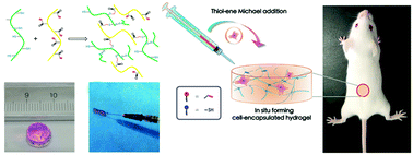 Graphical abstract: The preparation and biocompatible evaluation of injectable dual crosslinking hyaluronic acid hydrogels as cytoprotective agents