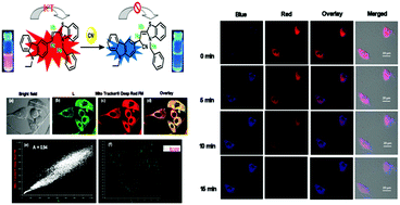 Graphical abstract: A colorimetric and ratiometric fluorescent probe for cyanide sensing in aqueous media and live cells