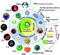 Graphical abstract: Nanoparticle-based diagnostic and therapeutic systems for brain tumors