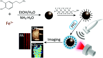 Graphical abstract: Tuning the ultrasonic and photoacoustic response of polydopamine-stabilized perfluorocarbon contrast agents