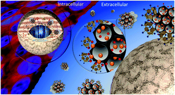 Graphical abstract: A reversible, switchable pH-driven quaternary ammonium pillar[5]arene nanogate for mesoporous silica nanoparticles