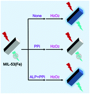 Graphical abstract: Bifunctional MIL-53(Fe) with pyrophosphate-mediated peroxidase-like activity and oxidation-stimulated fluorescence switching for alkaline phosphatase detection