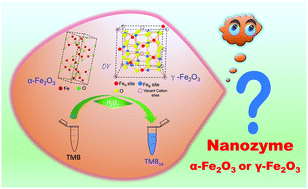Graphical abstract: Nanoarchitectured peroxidase-mimetic nanozymes: mesoporous nanocrystalline α- or γ-iron oxide?
