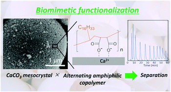 Graphical abstract: A biomimetic hybrid material consisting of CaCO3 mesoporous microspheres and an alternating copolymer for reversed-phase HPLC