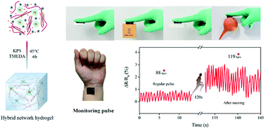 Graphical abstract: A flexible, adhesive and self-healable hydrogel-based wearable strain sensor for human motion and physiological signal monitoring