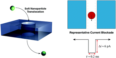 Graphical abstract: Translocation of soft phytoglycogen nanoparticles through solid-state nanochannels