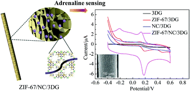 Graphical abstract: A 3D-graphene fiber electrode embedded with nitrogen-rich-carbon-coated ZIF-67 for the ultrasensitive detection of adrenaline
