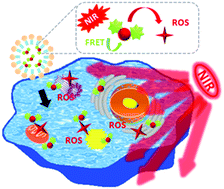 Graphical abstract: A theranostic saponin nano-assembly based on FRET of an aggregation-induced emission photosensitizer and photon up-conversion nanoparticles
