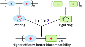 Graphical abstract: Copolymers with both soft and rigid cationic rings as highly selective antimicrobials to combat antibiotic resistant microbes and biofilms