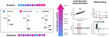Graphical abstract: The influence of gradient and statistical arrangements of guanidinium or primary amine groups in poly(methacrylate) copolymers on their DNA binding affinity