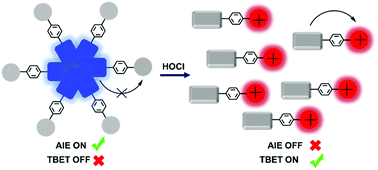Graphical abstract: An ultra-sensitive ratiometric fluorescent probe for hypochlorous acid detection by the synergistic effect of AIE and TBET and its application of detecting exogenous/endogenous HOCl in living cells