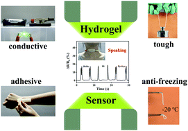 Graphical abstract: Wearable strain sensors based on casein-driven tough, adhesive and anti-freezing hydrogels for monitoring human-motion