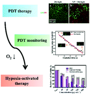 Graphical abstract: Ce6-C6-TPZ co-loaded albumin nanoparticles for synergistic combined PDT-chemotherapy of cancer
