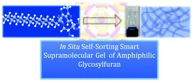 Graphical abstract: Smart supramolecular gels of enolizable amphiphilic glycosylfuran