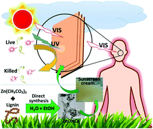 Graphical abstract: Development of agri-biomass based lignin derived zinc oxide nanocomposites as promising UV protectant-cum-antimicrobial agents