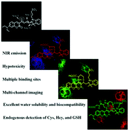 Graphical abstract: Light-driven visualization of endogenous cysteine, homocysteine, and glutathione using a near-infrared fluorescent probe