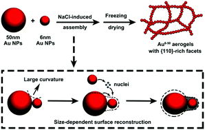 Graphical abstract: Fabrication of Au aerogels with {110}-rich facets by size-dependent surface reconstruction for enzyme-free glucose detection