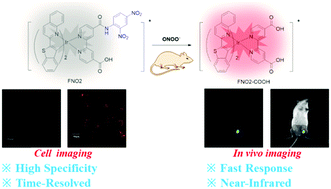 Graphical abstract: A time-resolved near-infrared phosphorescent iridium(iii) complex for fast and highly specific peroxynitrite detection and bioimaging applications