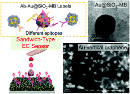 Graphical abstract: Sandwich-type electrochemical immunosensor for carcinoembryonic antigen detection based on the cooperation of a gold–vertical graphene electrode and gold@silica–methylene blue