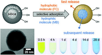 Graphical abstract: Nanoporous hybrid core–shell nanoparticles for sequential release