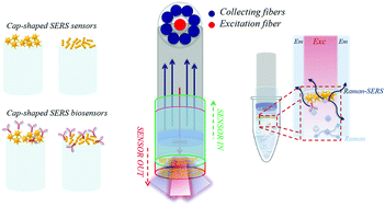 Graphical abstract: Fiber-cap biosensors for SERS analysis of liquid samples