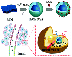 Graphical abstract: Construction of DOX/APC co-loaded BiOI@CuS NPs for safe and highly effective CT imaging and chemo-photothermal therapy of lung cancer