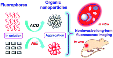 Graphical abstract: Robust organic nanoparticles for noninvasive long-term fluorescence imaging