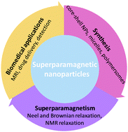 Graphical abstract: Superparamagnetic nanoparticles for biomedical applications