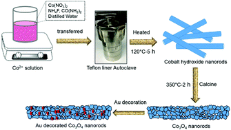 Graphical abstract: A label-free aptasensor FET based on Au nanoparticle decorated Co3O4 nanorods and a SWCNT layer for detection of cardiac troponin T protein