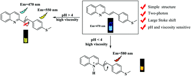 Graphical abstract: 2-Styrylquinoline-based two-photon AIEgens for dual monitoring of pH and viscosity in living cells