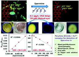 Graphical abstract: Perylene diimide–Cu2+ based fluorescent nanoparticles for the detection of spermine in clinical and food samples: a step toward the development of a diagnostic kit as a POCT tool for spermine