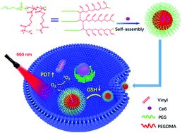 Graphical abstract: Enhanced photodynamic therapy based on an amphiphilic branched copolymer with pendant vinyl groups for simultaneous GSH depletion and Ce6 release