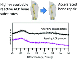 Graphical abstract: First successful stabilization of consolidated amorphous calcium phosphate (ACP) by cold sintering: toward highly-resorbable reactive bioceramics