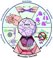Graphical abstract: A self-healable, moldable and bioactive biomaterial gum for personalised and wearable drug delivery