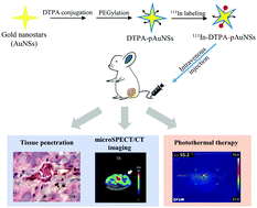 Graphical abstract: Investigation of biodistribution and tissue penetration of PEGylated gold nanostars and their application for photothermal cancer treatment in tumor-bearing mice