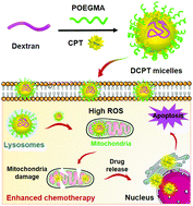 Graphical abstract: Reactive oxygen species-activatable camptothecin polyprodrug based dextran enhances chemotherapy efficacy by damaging mitochondria