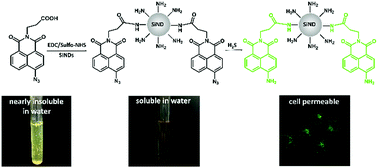 Graphical abstract: A new strategy to improve the water solubility of an organic fluorescent probe using silicon nanodots and fabricate two-photon SiND-ANPA-N3 for visualizing hydrogen sulfide in living cells and onion tissues
