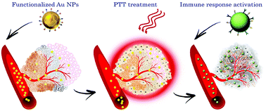 Graphical abstract: Stimuli-responsive nanoparticle-assisted immunotherapy: a new weapon against solid tumours