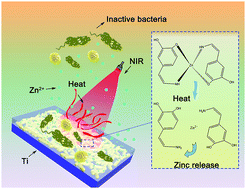 Graphical abstract: Antibacterial activity of an NIR-induced Zn ion release film