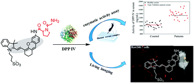 Graphical abstract: Fabrication of a water-soluble near-infrared fluorescent probe for selective detection and imaging of dipeptidyl peptidase IV in biological systems